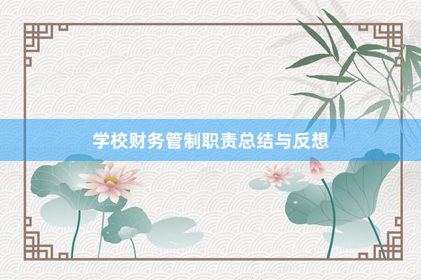 学校财务管制职责总结与反想