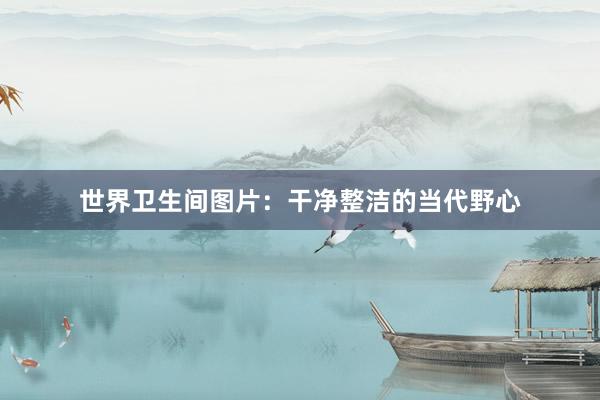 世界卫生间图片：干净整洁的当代野心