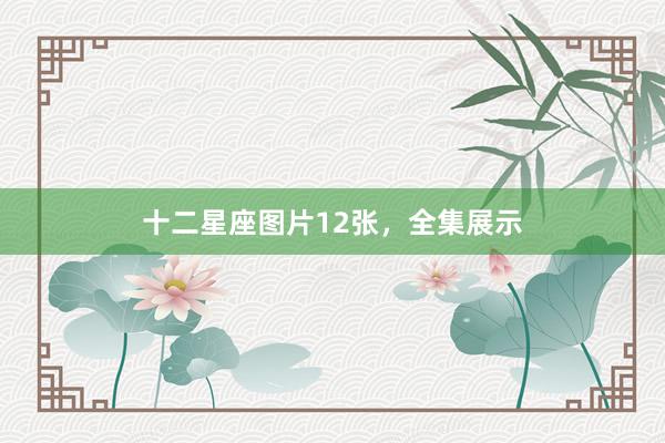 十二星座图片12张，全集展示