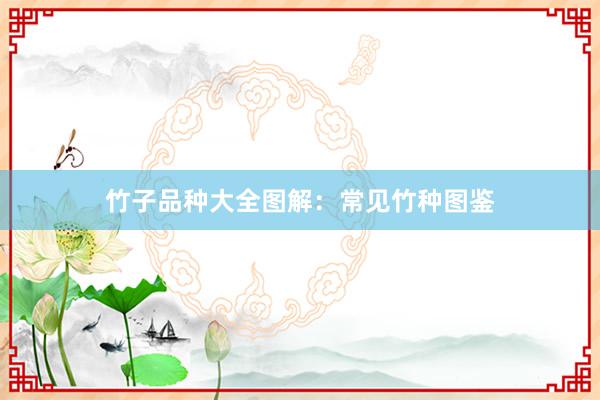 竹子品种大全图解：常见竹种图鉴