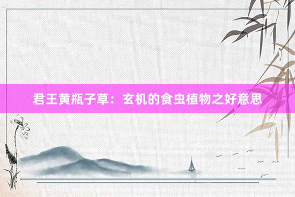 君王黄瓶子草：玄机的食虫植物之好意思