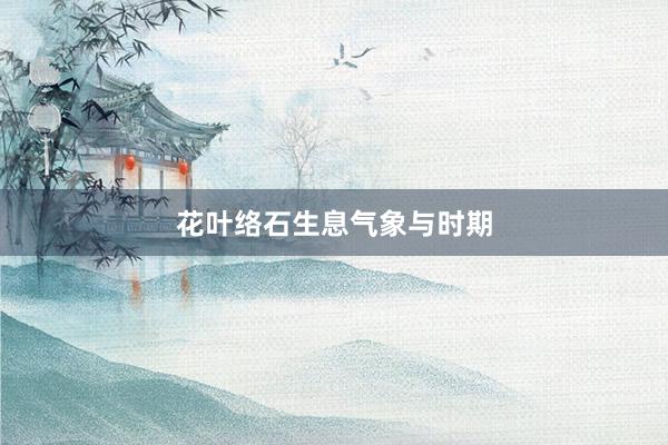 花叶络石生息气象与时期