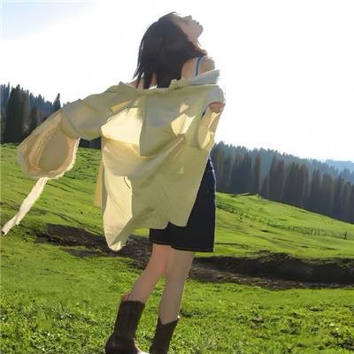 纸房子：全球热潮